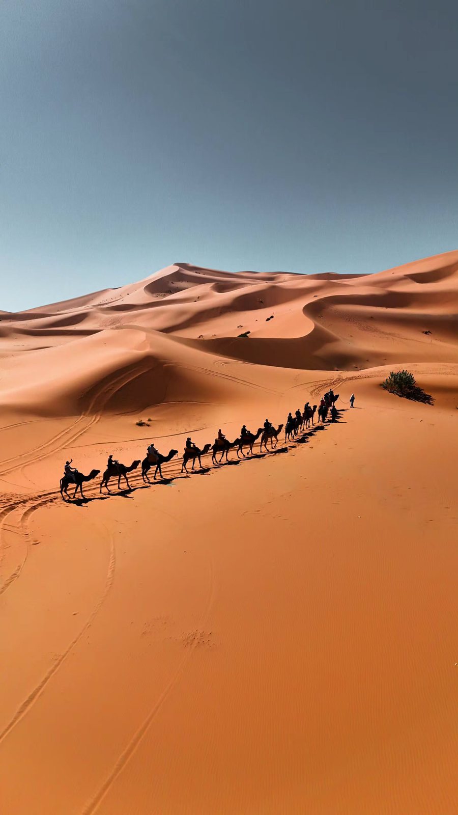 4 Days desert Tour from Tangier to Marrakech — Morocco tour photo